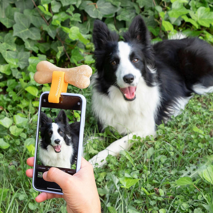 Clip de Selfies para Mascotas Pefie InnovaGoods